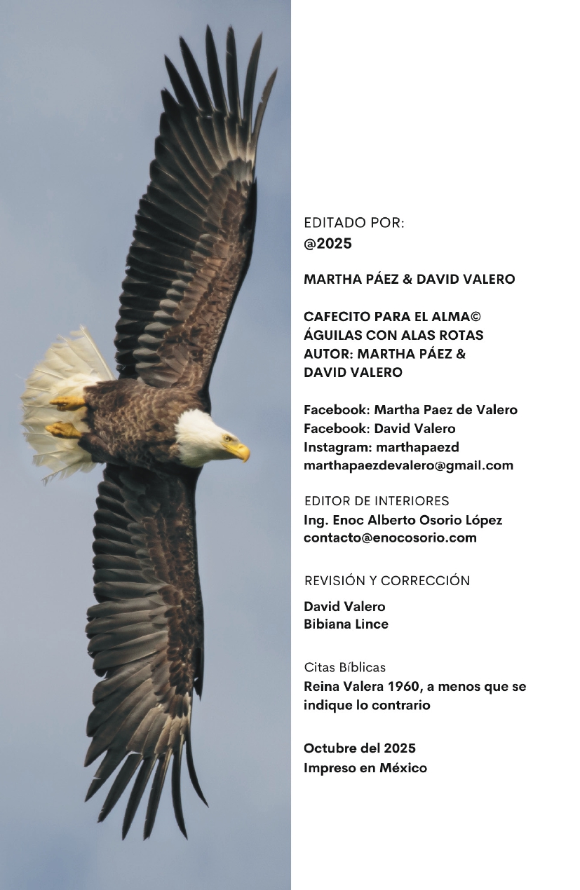 Águilas con Alas Rotas (DIGITAL) - Imagen 2